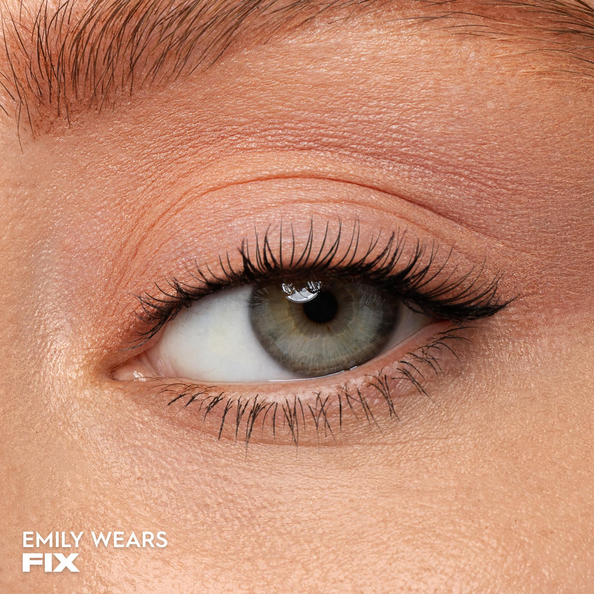 URBAN DECAY close-up of Fix eyeshadow pan highlighting smooth matte texture