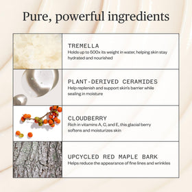 Ursa Major cloudberry ingredient close-up highlighting antioxidant-rich benefit