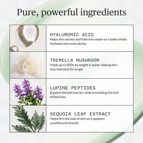 Ursa Major pump detail highlighting precise dispensing and easy layering benefit