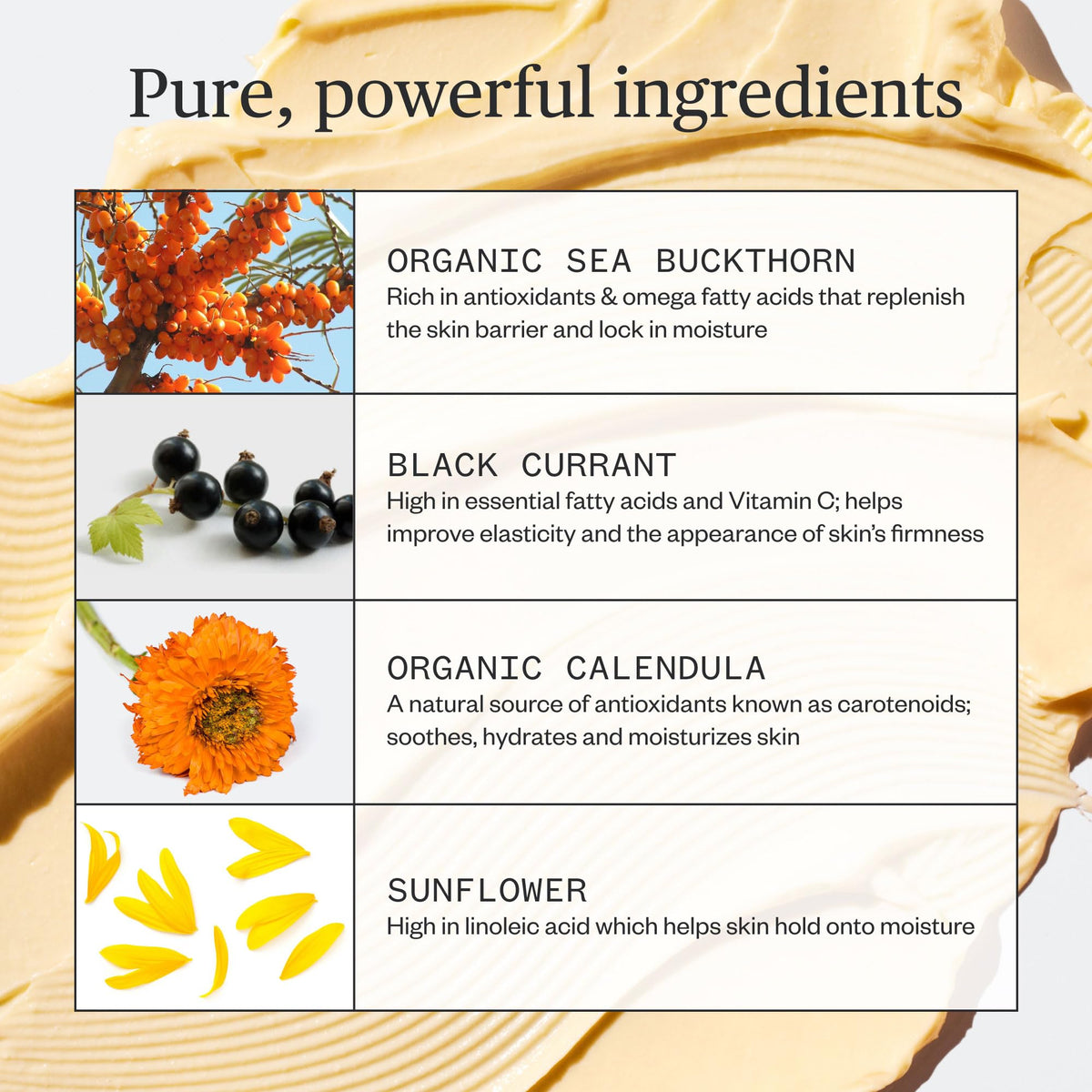 Ursa Major sea buckthorn ingredient close-up with antioxidant benefit