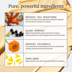 Ursa Major sea buckthorn ingredient close-up with antioxidant benefit