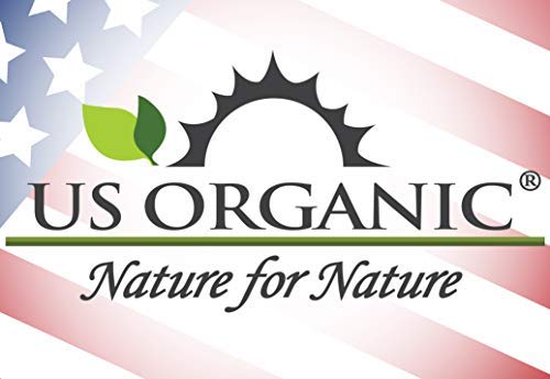 US Organic lavender in a diffuser in a living room to freshen air naturally