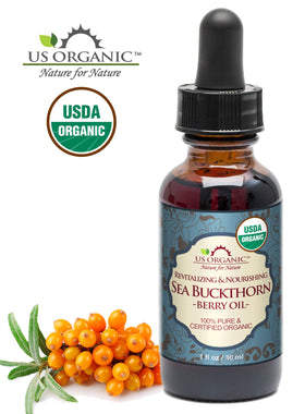 US Organic close-up of ripe sea buckthorn berries showing rich nutrient color benefit