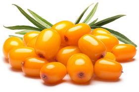 US Organic product label close-up highlighting USDA organic and extraction method benefit