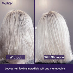 VANIDOX shampoo being applied to grey hair to neutralize brass and add pigment