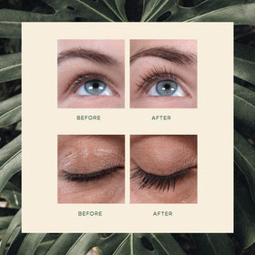 VEGAMOUR GRO Lash Serum ingredients flatlay with red clover and mung bean benefits