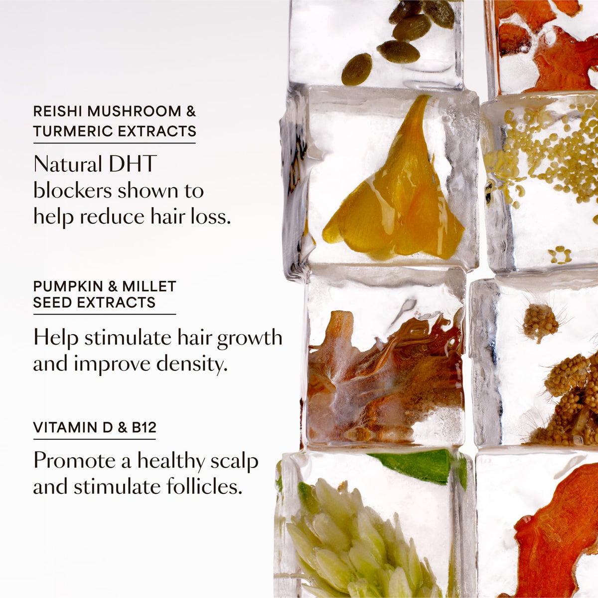 VEGAMOUR daily packet beside meal demonstrating optimal intake