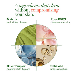 VELVENTE rich foam texture close-up demonstrating gentle effective cleanse