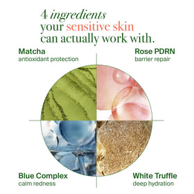 VELVENTE pad saturated with essence highlighting calming hydration benefit