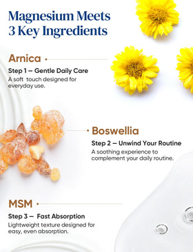 Venture Pal ingredients arranged showing magnesium and botanicals clarity