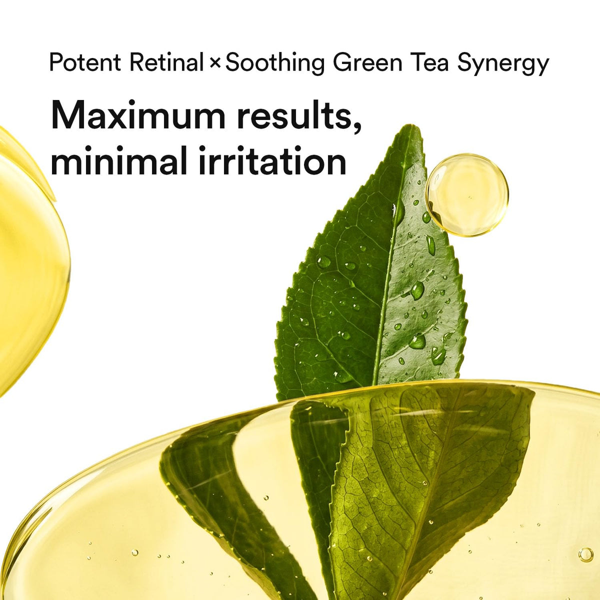 VERAFECT real green tea leaves highlighting antioxidant benefit