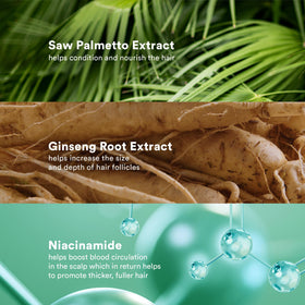VERB bottle beside saw palmetto and ginseng indicating key ingredient benefits