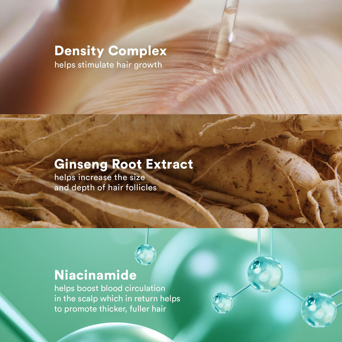 VERB Density Peptide Serum label ingredients detail showcasing Density Complex, ginseng, and niacinamide benefits