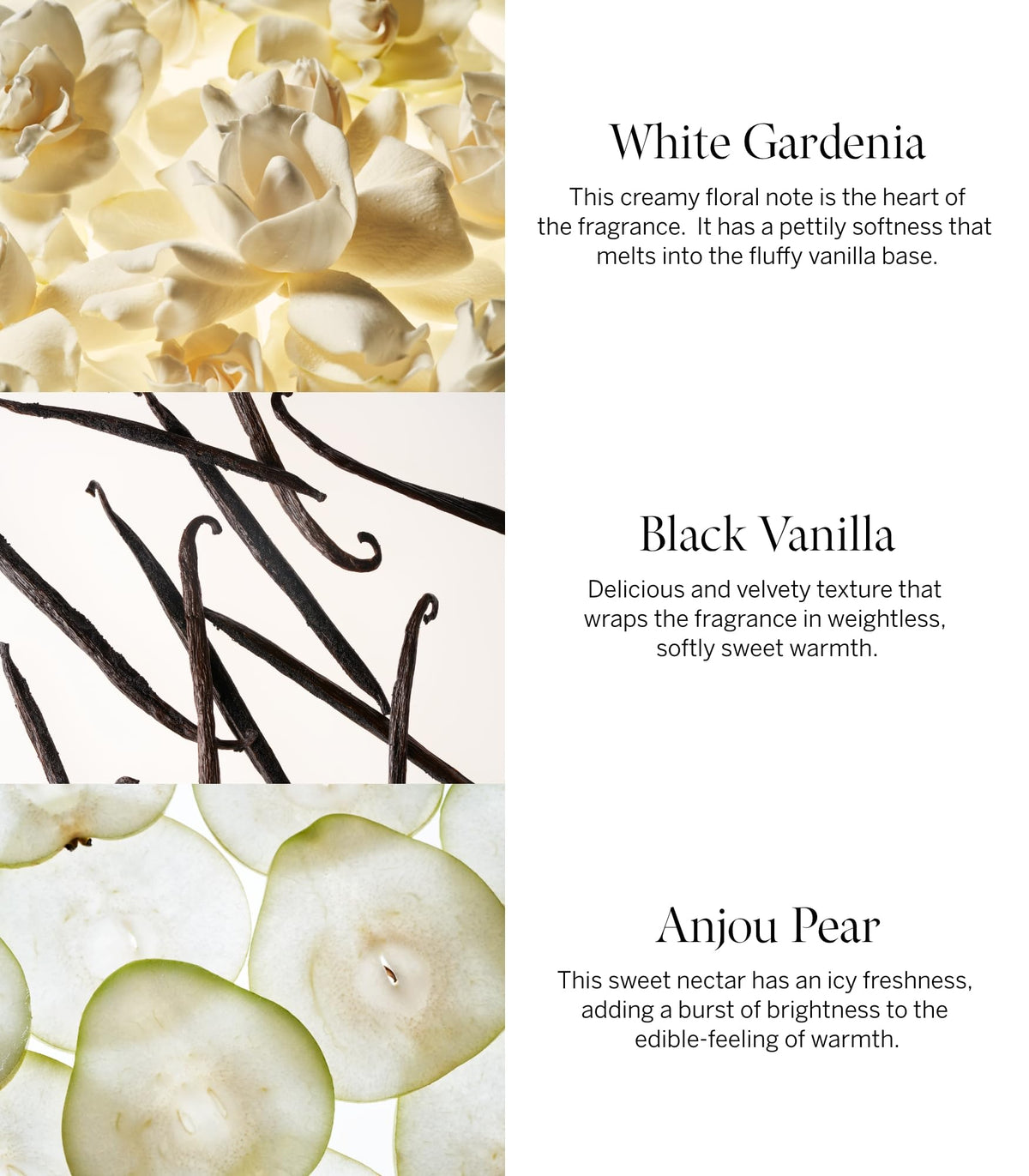 Victoria's Secret cream texture close-up showing fast-absorbing formula