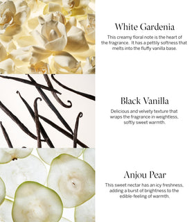 Victoria's Secret cream texture close-up showing fast-absorbing formula