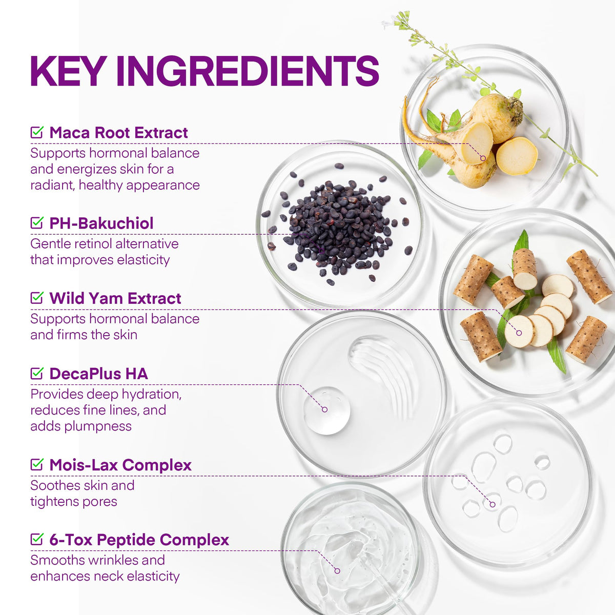 Vigority product with botanical ingredients flatlay for antioxidant benefits
