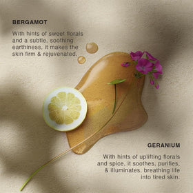 Vinci Botanicals ingredients flatlay including bergamot and dragon fruit