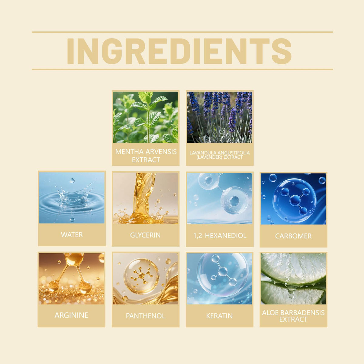 Vingtank ingredients display of aloe, lavender, peppermint for natural care