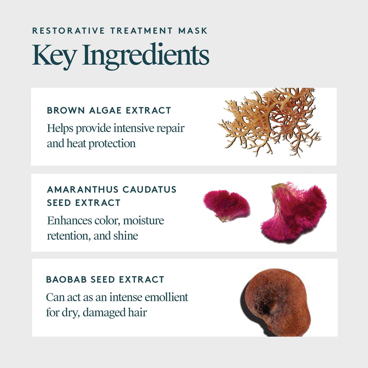 VIRTUE baobab seed oil drop highlighting nourishing, lightweight hydration