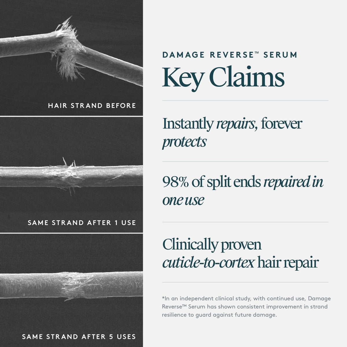 VIRTUE applying serum to damp hair for detangling and heat-prep benefits