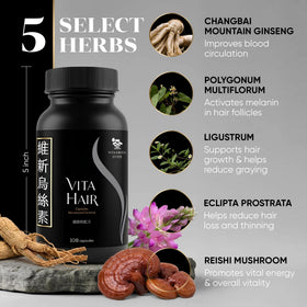 Vita Green back label with ingredients and directions for informed daily use