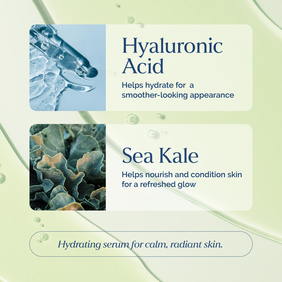 VITAMINS AND SEA BEAUTY sea kale close-up highlighting nourishing antioxidant support