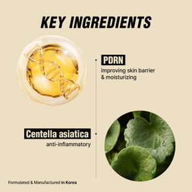 VQM VIBANQUENTMANKA ingredient label close-up featuring PDRN and Centella Asiatica benefits
