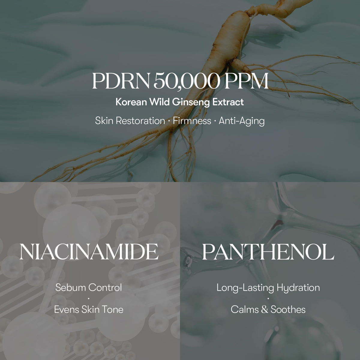 VT COSMETICS close-up Korean wild ginseng extract emphasizing plant-derived PDRN benefit