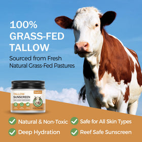 Key ingredients display with Wagomars beef tallow and jojoba for nourishing benefit