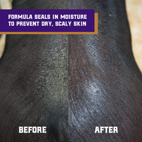 Weaver Livestock conditioner being applied with a sponge for even distribution