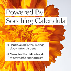Weleda cream texture spread showing rich yet absorbent moisturizing feel