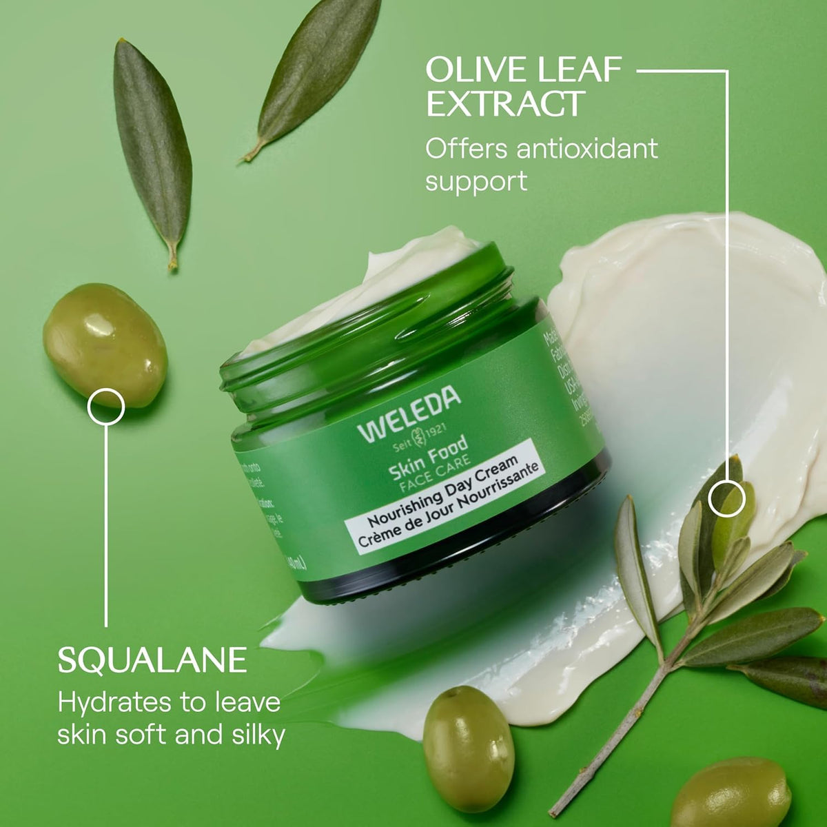 Olive leaf beside Weleda jar highlighting olive leaf extract for natural luminosity benefit