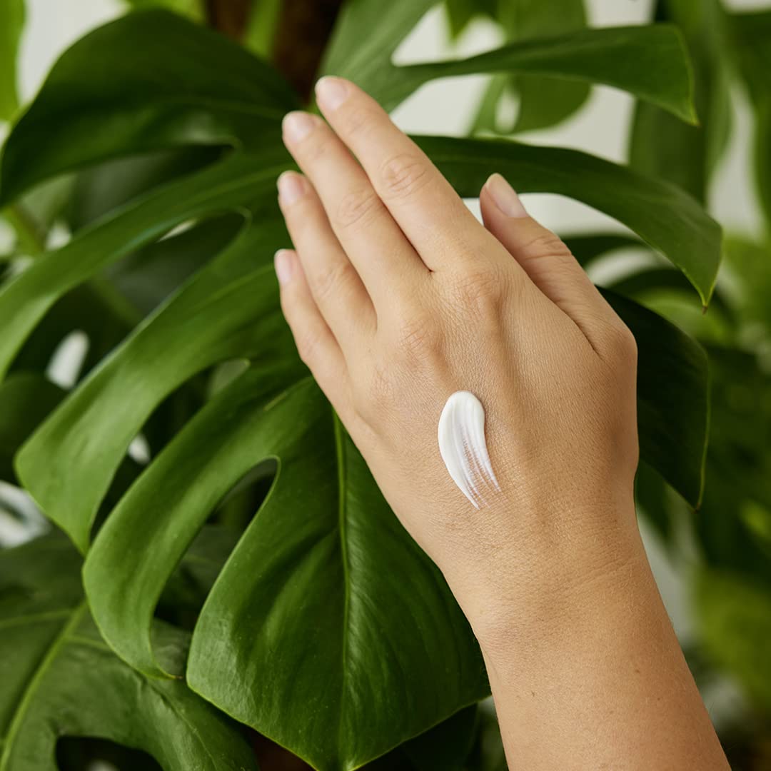 Weleda sea buckthorn cream texture close-up emphasizing quick absorption benefit