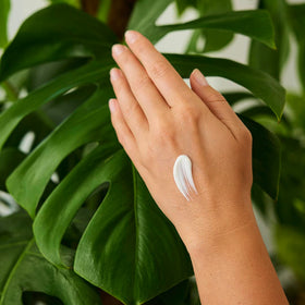 Weleda sea buckthorn cream texture close-up emphasizing quick absorption benefit