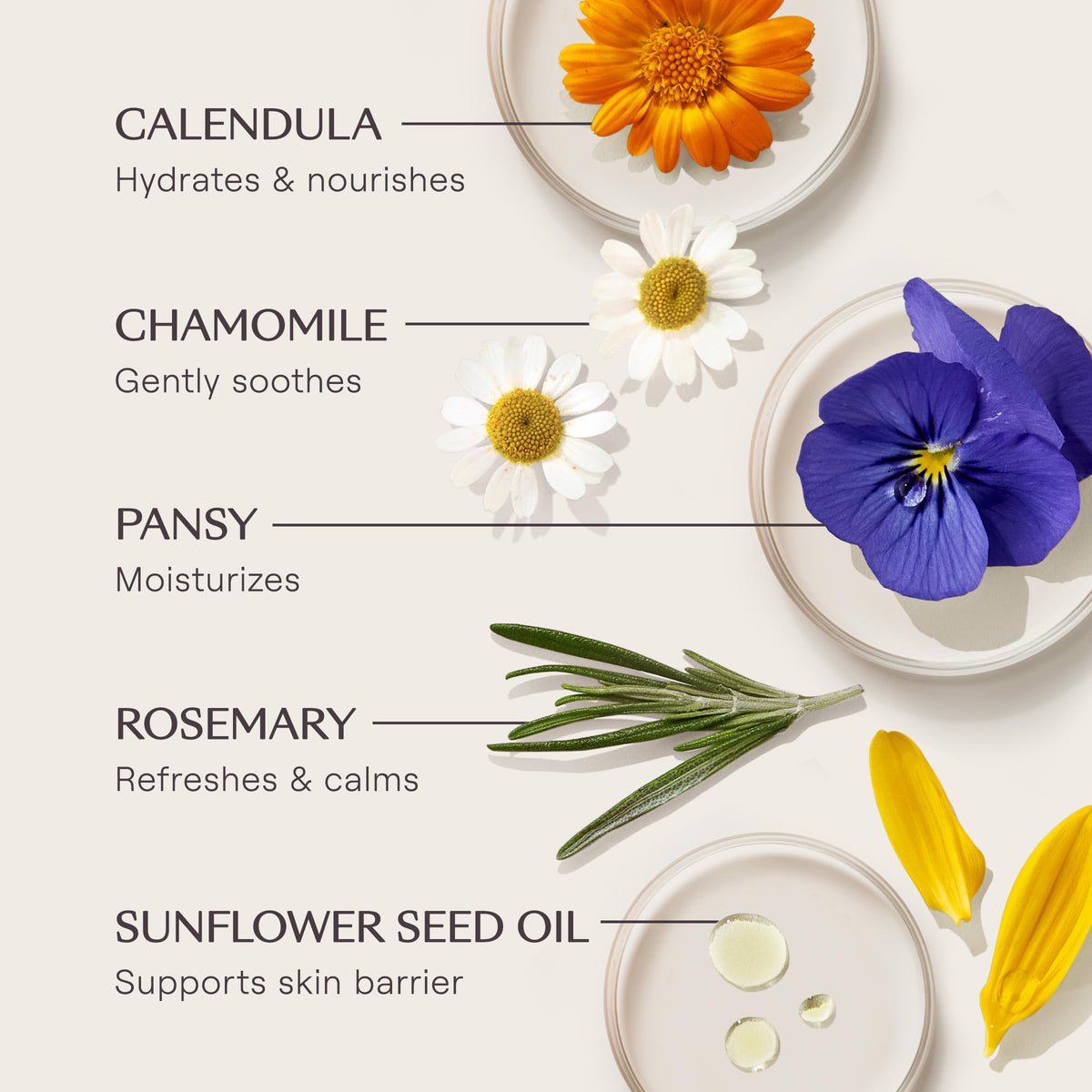 Weleda stick on bathroom shelf staged for daily skincare routine