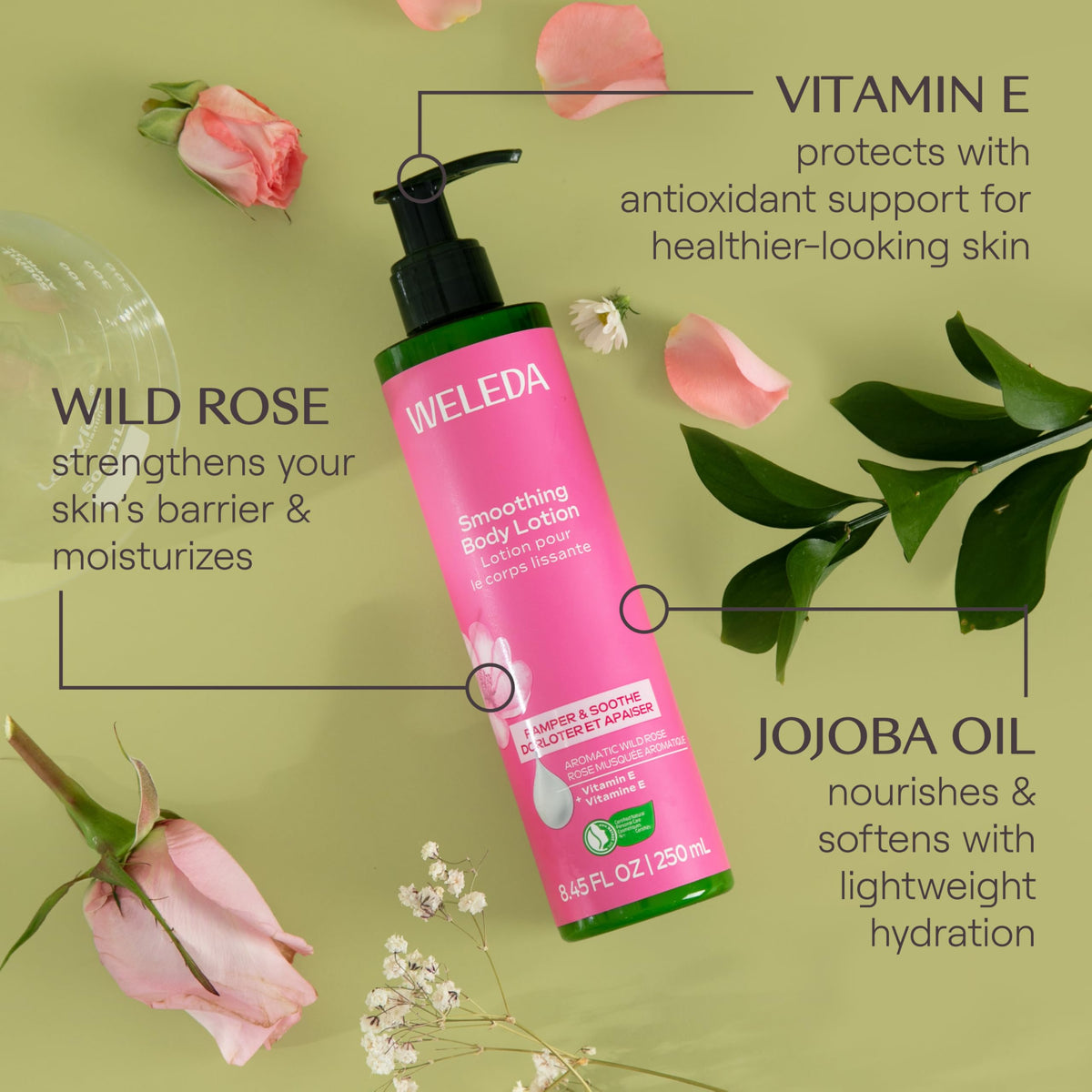 Weleda label detail focusing on wild rose ingredients and transparent botanical benefits