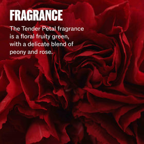 Wella Professionals 6.7 fl oz bottle next to a ruler for size comparison