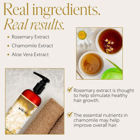 WEN by Chaz Dean applied to wet hair for gentle cleansing and detangling