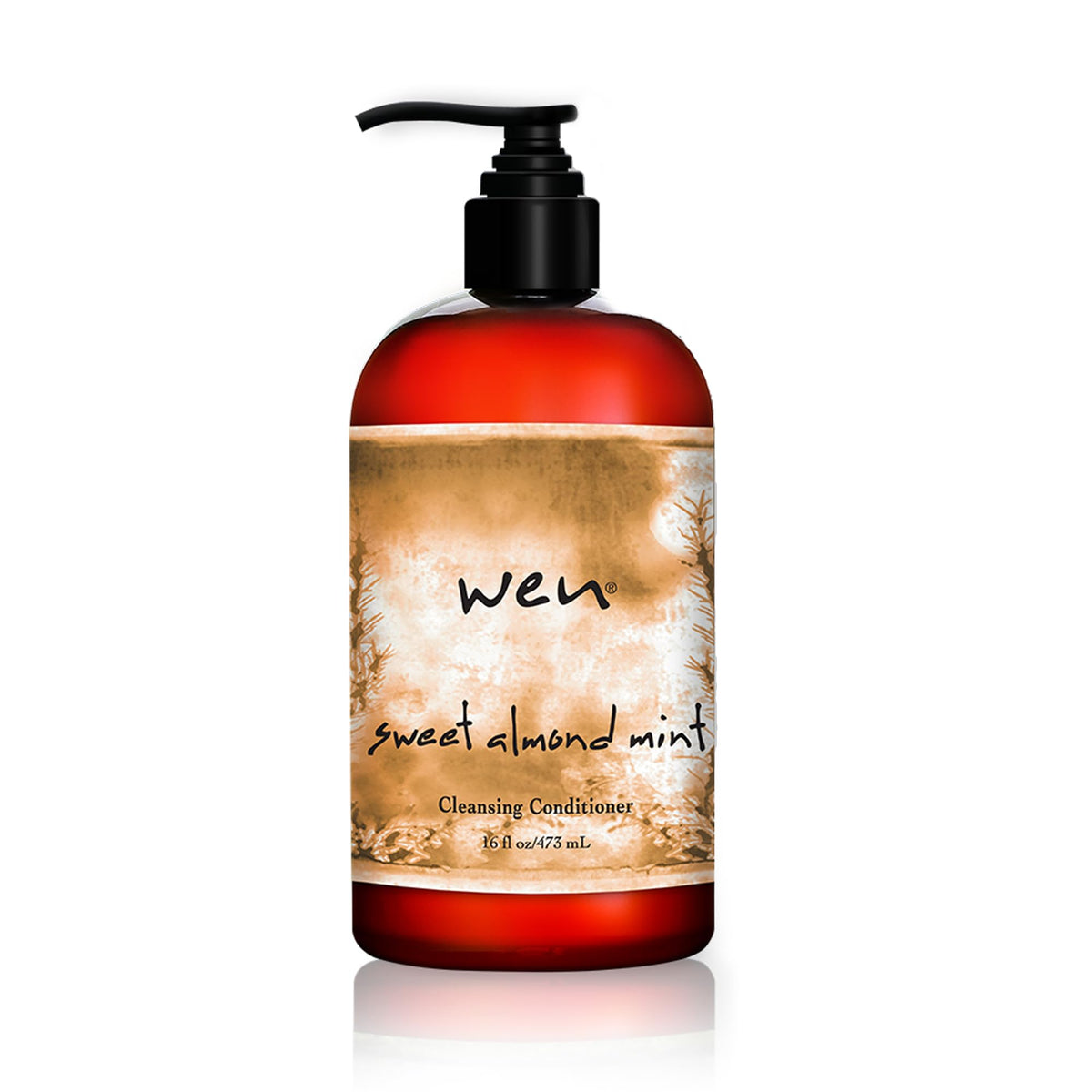 WEN by Chaz Dean front bottle view showing label and size benefit