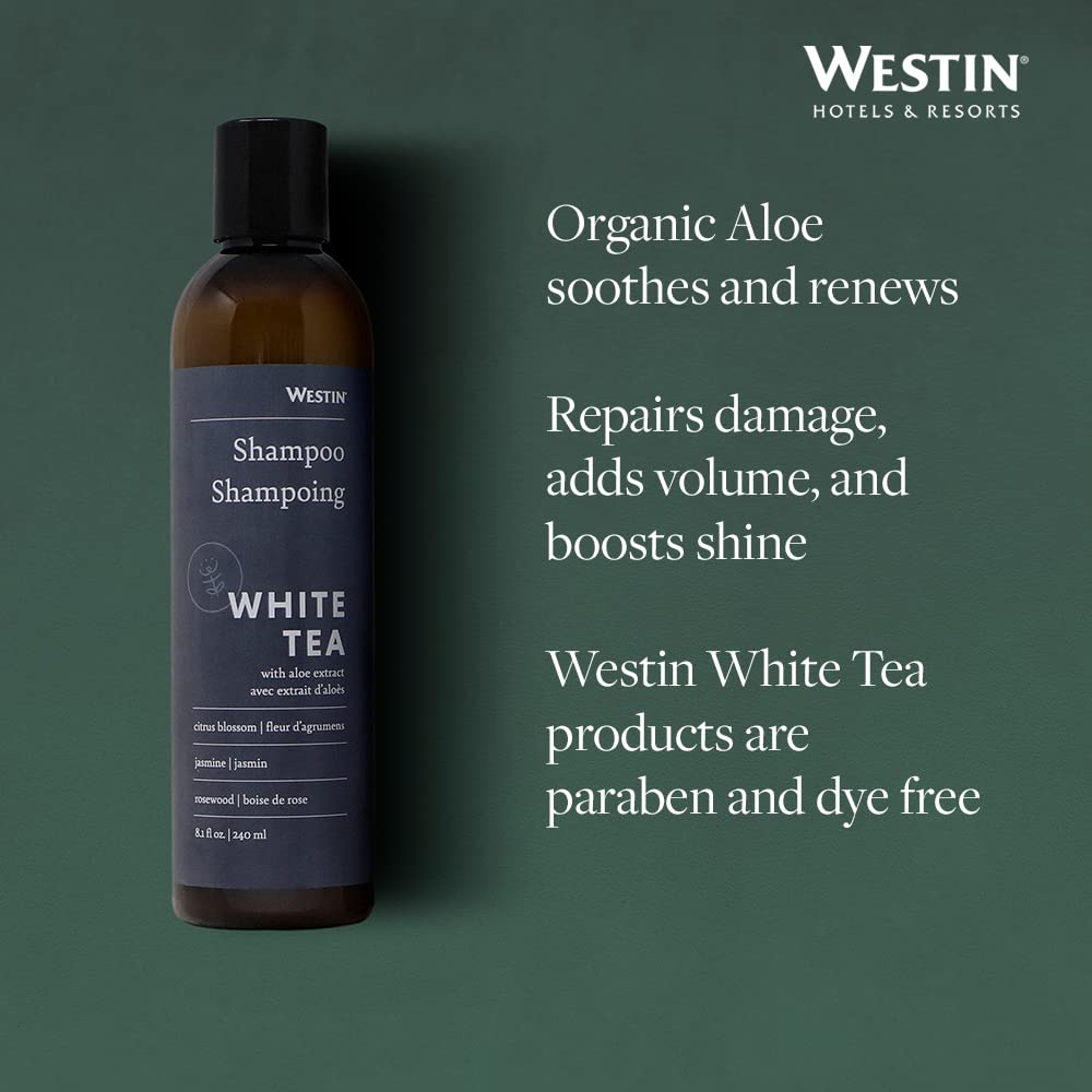 Creamy lather texture of Westin shampoo demonstrating gentle cleansing