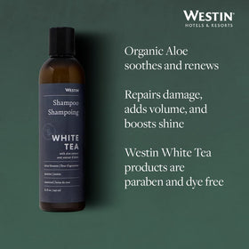 Creamy lather texture of Westin shampoo demonstrating gentle cleansing