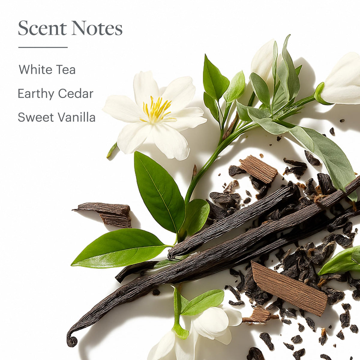 Westin white tea hand soap placed in guest bathroom offering a luxury welcome scent