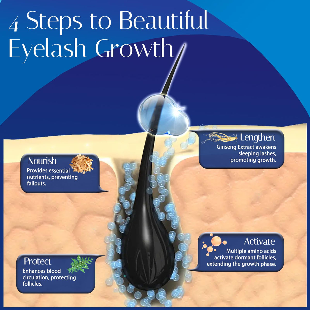 Wewell ginseng extract visual highlighting botanical nourishment for lashes