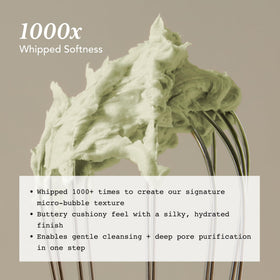 Whipped Semo Company close-up of matcha powder highlighting antioxidant support