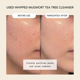 Whipped Semo Company mugwort detail showing botanical calming benefit