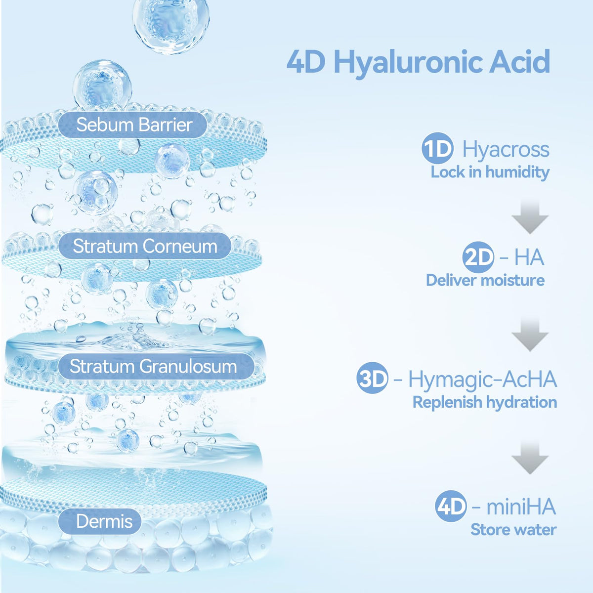 WNP product label close-up highlighting peptides and key ingredients