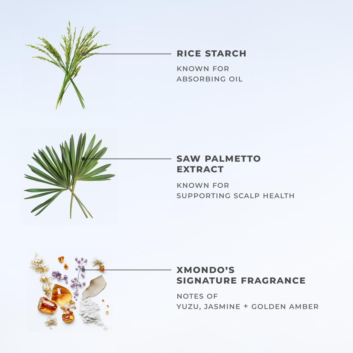 XMONDO spray applied to roots demonstrating instant refresh benefit