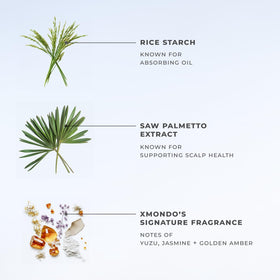 XMONDO spray applied to roots demonstrating instant refresh benefit