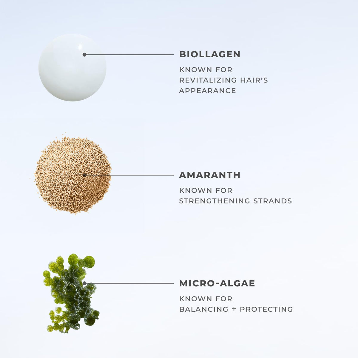 Closeup of XMONDO label listing Amaranth, Biollagen and Micro Algae
