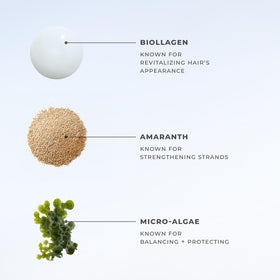Closeup of XMONDO label listing Amaranth, Biollagen and Micro Algae